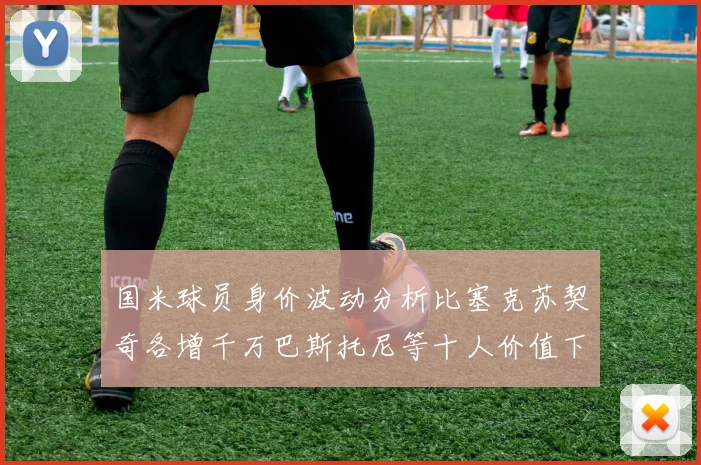 国米球员身价波动分析比塞克苏契奇各增千万巴斯托尼等十人价值下滑